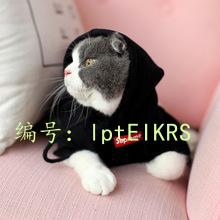 ָ