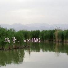 ǰ
