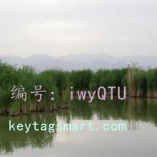 ļ