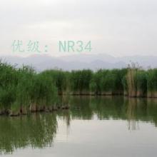 ļ