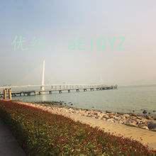 ֳ