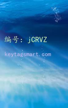 ṹ